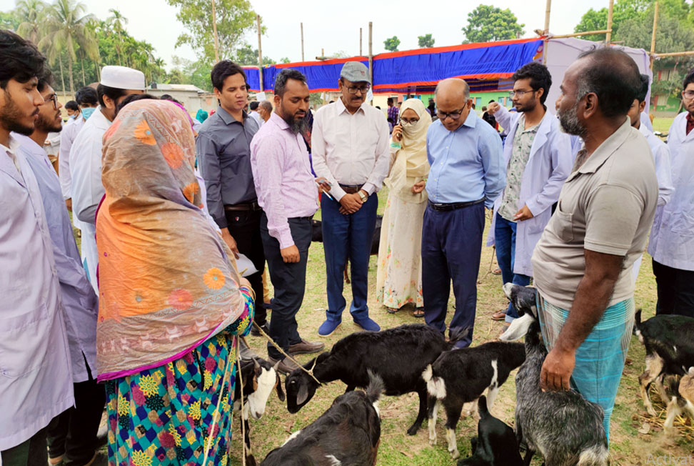 হাবিপ্রবি থেকে ৪৫২টি প্রাণিকে চিকিৎসা সেবা প্রদান

