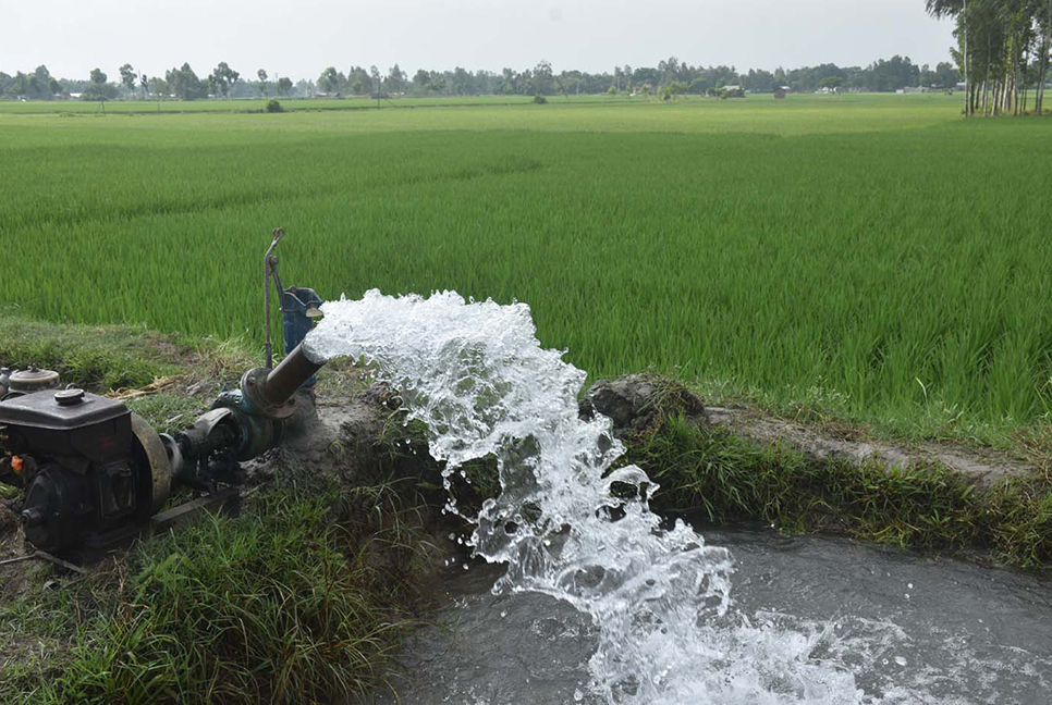 রংপুরে বোরোতে ১২ হাজার কোটি লিটার পানি অপচয়