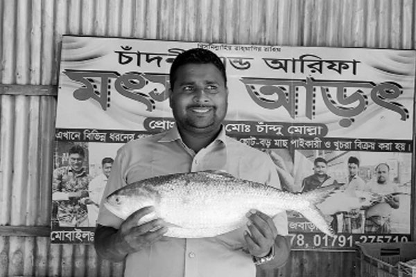 পদ্মায় ধরা পড়ল ২ কেজির ইলিশ