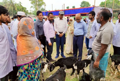 হাবিপ্রবি থেকে ৪৫২টি প্রাণিকে চিকিৎসা সেবা প্রদান

