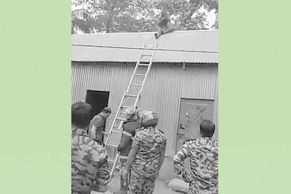 পুলিশ দেখে টিনের চালে আসামি নামাল ফায়ার সার্ভিস