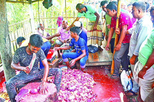 বগুড়ায় হইচই ফেললেন কালু কসাই