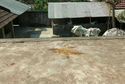 কালীগঞ্জে বসতবাড়িতে প্রতিপক্ষের হামলা, বোমা বিস্ফোরণ