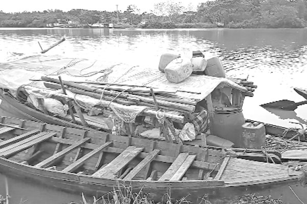 মধু আহরণে দলবেঁধে সুন্দরবনে মৌয়ালরা