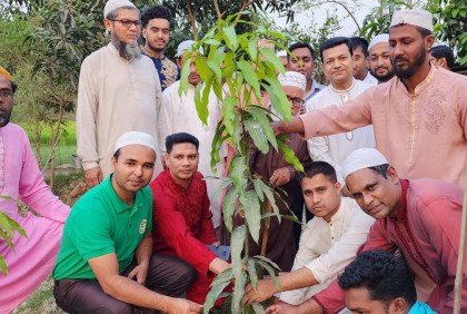 সিংড়ায় সাংবাদিক ও পরিবেশকর্মীদের বৃক্ষরোপণ 