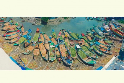 তরমুজে সয়লাব বরিশাল, বৃষ্টিতে মাথায় হাত চাষীদের