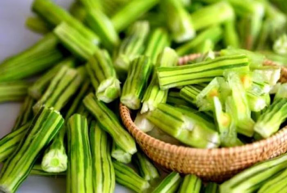 সজনে ডাঁটার পুষ্টিগুণ