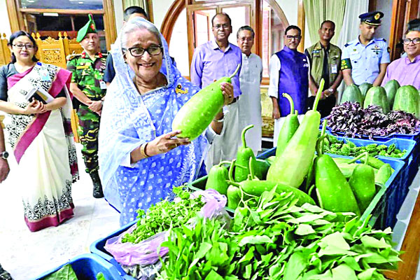 প্রধানমন্ত্রীর উদ্যোগে টুঙ্গিপাড়ায় পতিত জমিতে সবজি