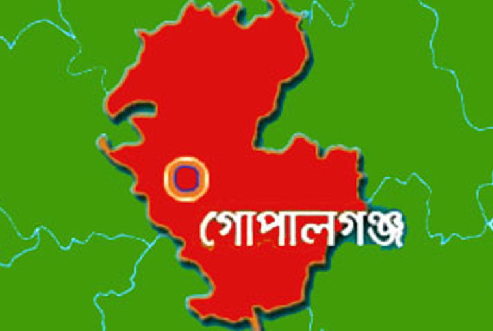 গোপালগঞ্জে পূর্ব শত্রুতার জেরে হামলা ও লুটপাটের অভিযোগ, আহত ৪