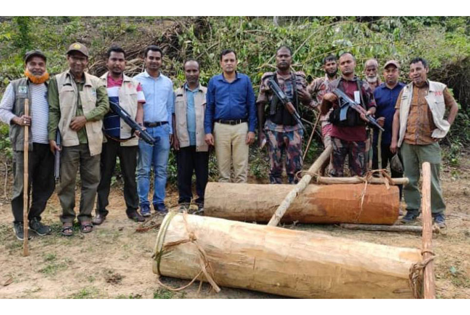হবিগঞ্জে ৩ লক্ষাধিক টাকার চোরাই গাছ উদ্ধার