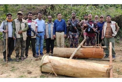 হবিগঞ্জে ৩ লক্ষাধিক টাকার চোরাই গাছ উদ্ধার
