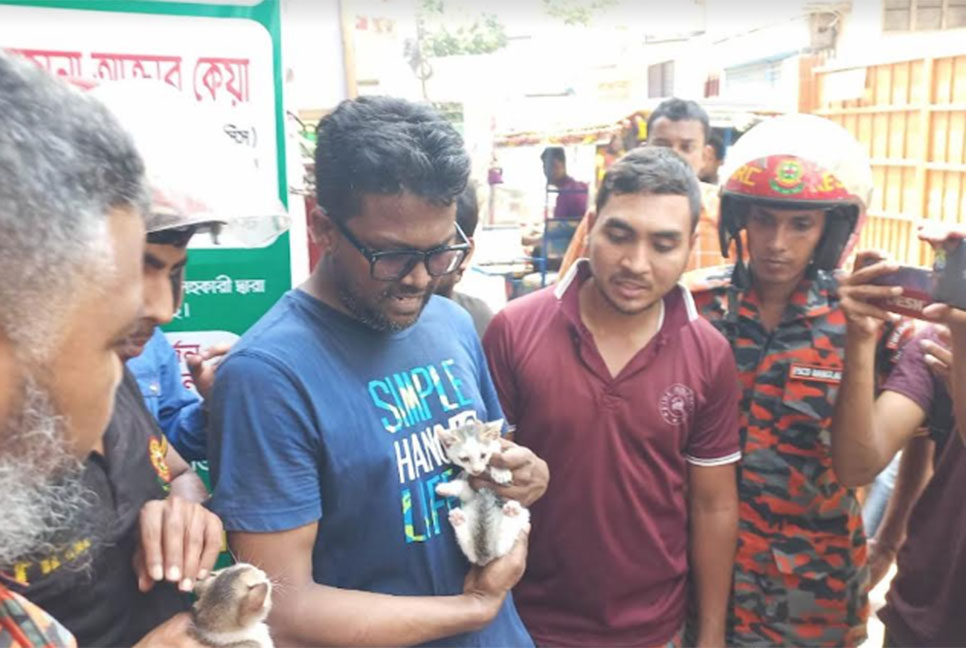 দুই বিড়াল ছানা উদ্ধারে রুদ্ধশ্বাস অভিযান 