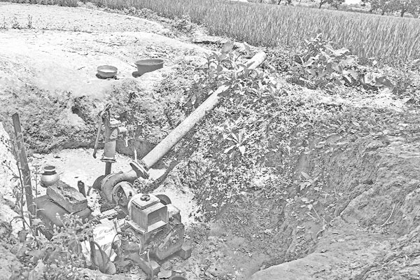 মরছে কৃষকের ৮০ বিঘা জমির ফসল
