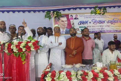 আমরা আওয়ামী মার্কা বিএনপি দেখতে চাই না : অধ্যাপক মামুন মাহমুদ