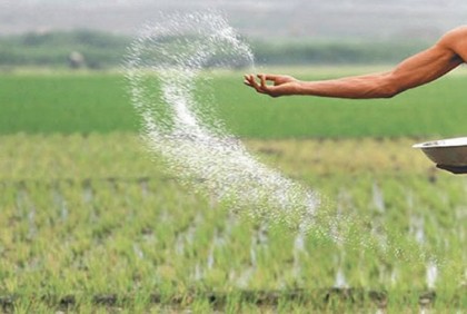 কেজিতে ৫ টাকা বাড়ল সারের দাম