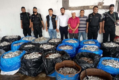 যাত্রাবাড়ীতে ২৬১৭ কেজি জাটকা ইলিশ জব্দ, জরিমানা ১৮ লাখ