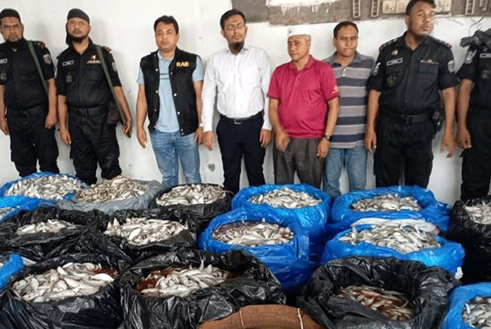 জাটকা ইলিশ সংরক্ষণ করায় ২৫ জেলের অর্থদণ্ড