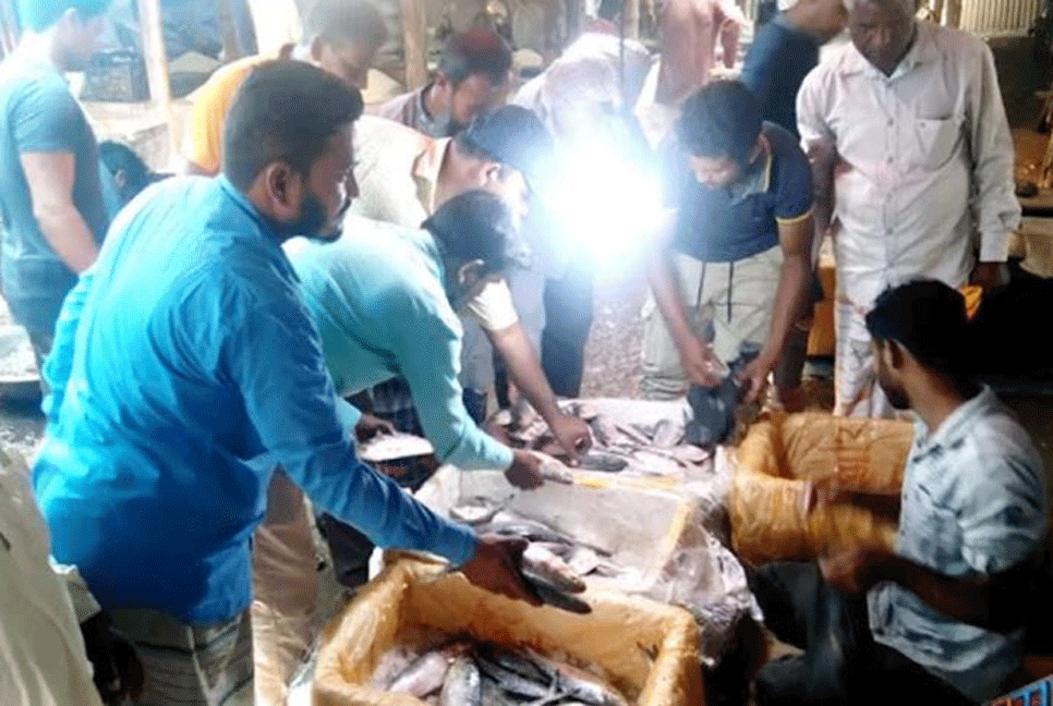 মাইকিং করে ইলিশ বিক্রি
