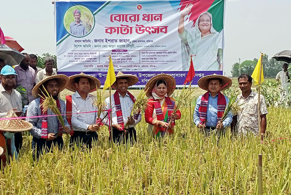 বোরো ধান কাটা উৎসব শুরু


