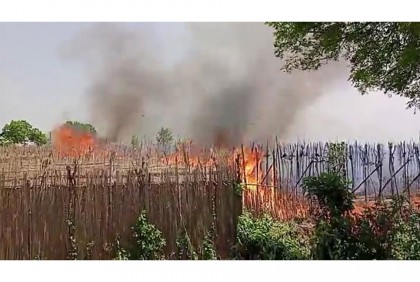 চুয়াডাঙ্গায় ভুট্টাক্ষেত ও পানের বরজে ভয়াবহ অগ্নিকাণ্ড