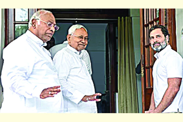 বিজেপিবিরোধী ঐক্য গড়ছেন রাহুল গান্ধী-নীতীশ