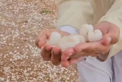 সৌদিতে বিরল শিলাবৃষ্টি