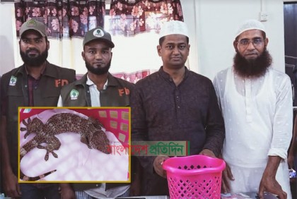 গাছের সাথে ঝুলিয়ে রাখা ব্যাগ থেকে তক্ষক উদ্ধার 