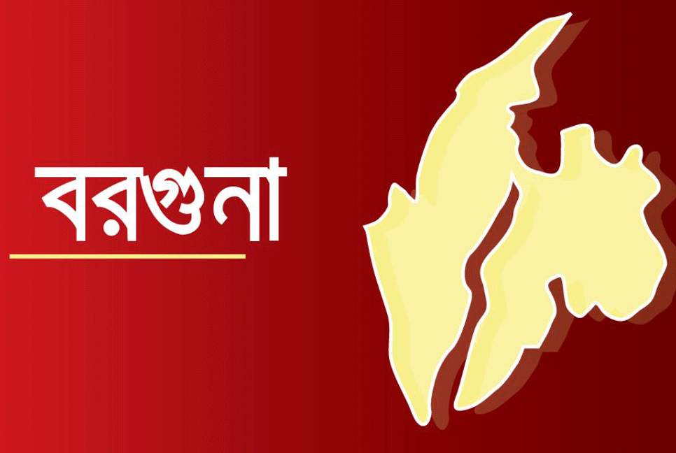 ইউনিয়ন পরিষদের মালামাল চুরি, ছাত্রলীগ নেতা গ্রেফতার