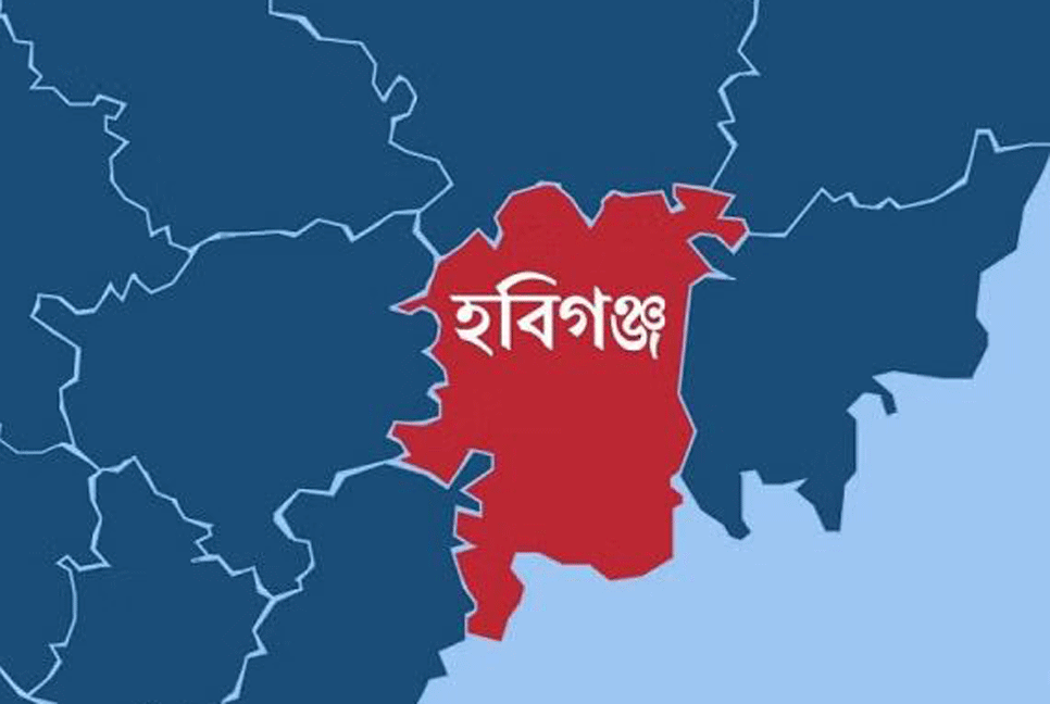 মাটিকাটা নিয়ে কথা কাটাকাটি, ভাতিজার দায়ের কোপে চাচা নিহত