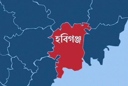 মাটিকাটা নিয়ে কথা কাটাকাটি, ভাতিজার দায়ের কোপে চাচা নিহত