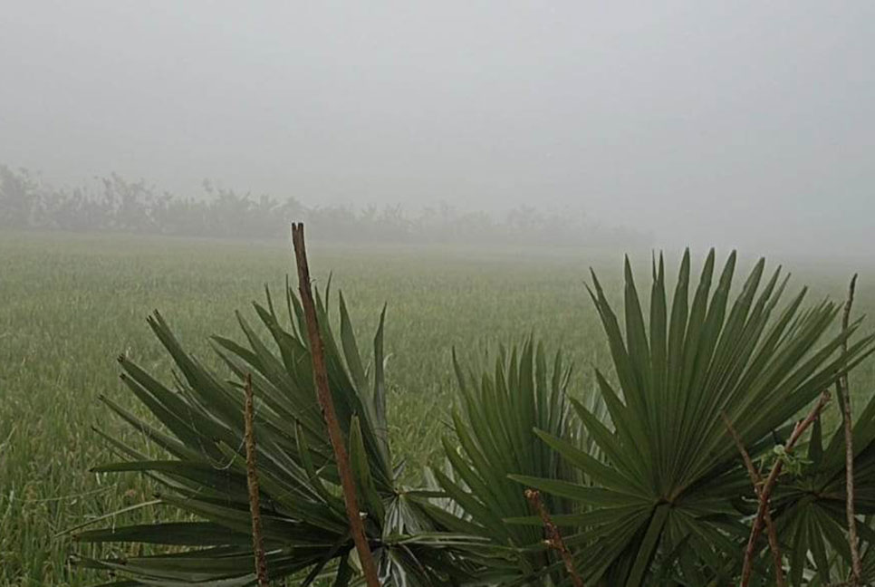 বাগেরহাটে রেকর্ড তাপমাত্রায় দিনে তীব্র দাবদাহ, ভোরে ঘন কুয়াশা 