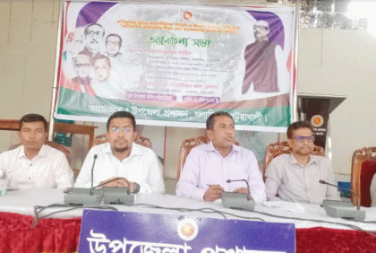 গলাচিপায় মুজিবনগর দিবস পালিত