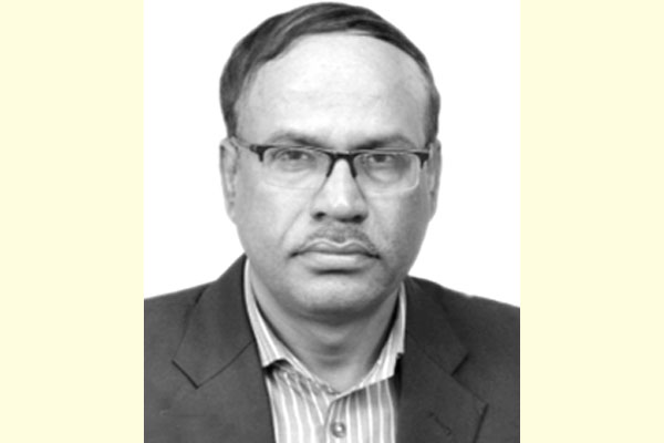 স্থানীয় সরকারের উপজেলা স্তর