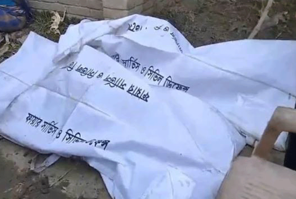 কুষ্টিয়ায় আগুনে পুড়ে ঘুমন্ত দুই বোনের মৃত্যু