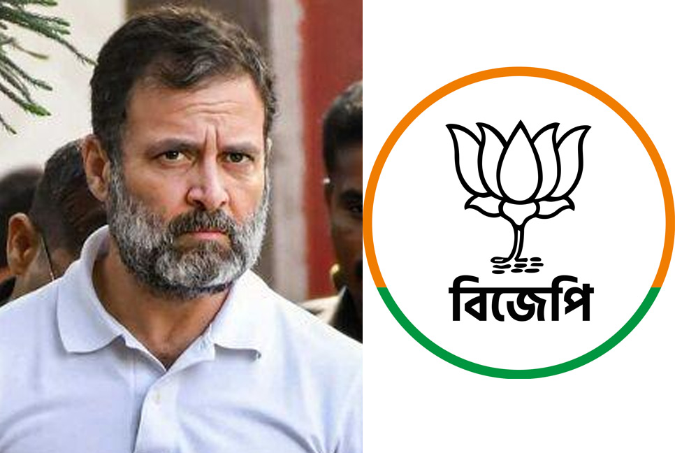 রাহুল গান্ধীর সাজা স্থগিতের আবেদন খারিজের পর যা বলল বিজেপি