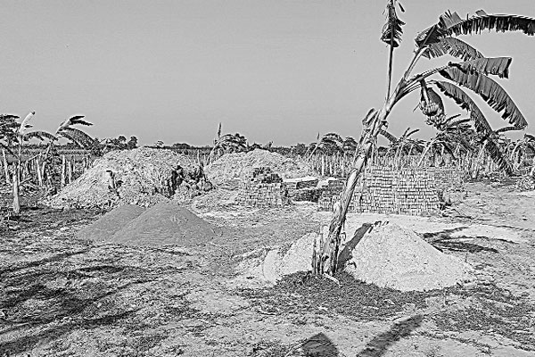 তিন ফসলি জমিতে ইটভাটা