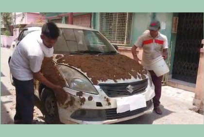 গাড়িকে ঠান্ডা রাখতে এসির বদলে গোবরের প্রলেপ!