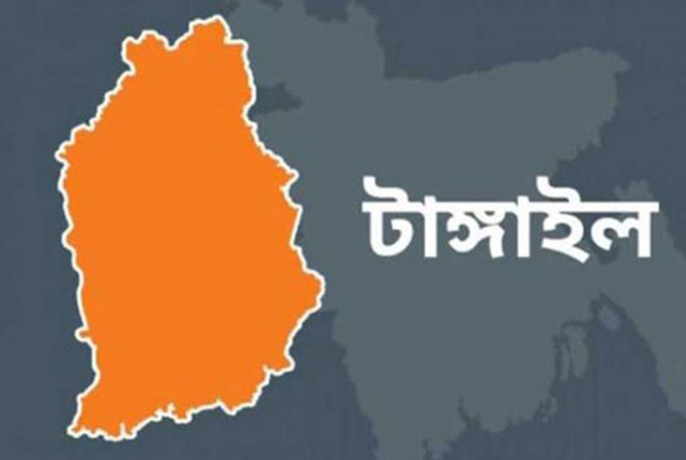 মির্জাপুরে কৃষকের গোয়াল ঘর থেকে পাঁচটি গরু চুরি