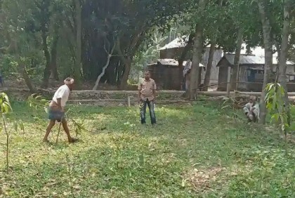 শত্রুতায় কৃষকের ৫ শতাধিক গাছ কেটে ফেলার অভিযোগ