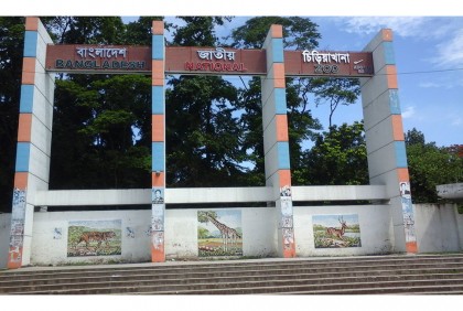 ঈদে দর্শনার্থীদের জন্য প্রস্তুত জাতীয় চিড়িয়াখানা