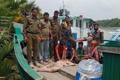 সুন্দরবন থেকে চিত্রল হরিণসহ ৫ শিকারি আটক