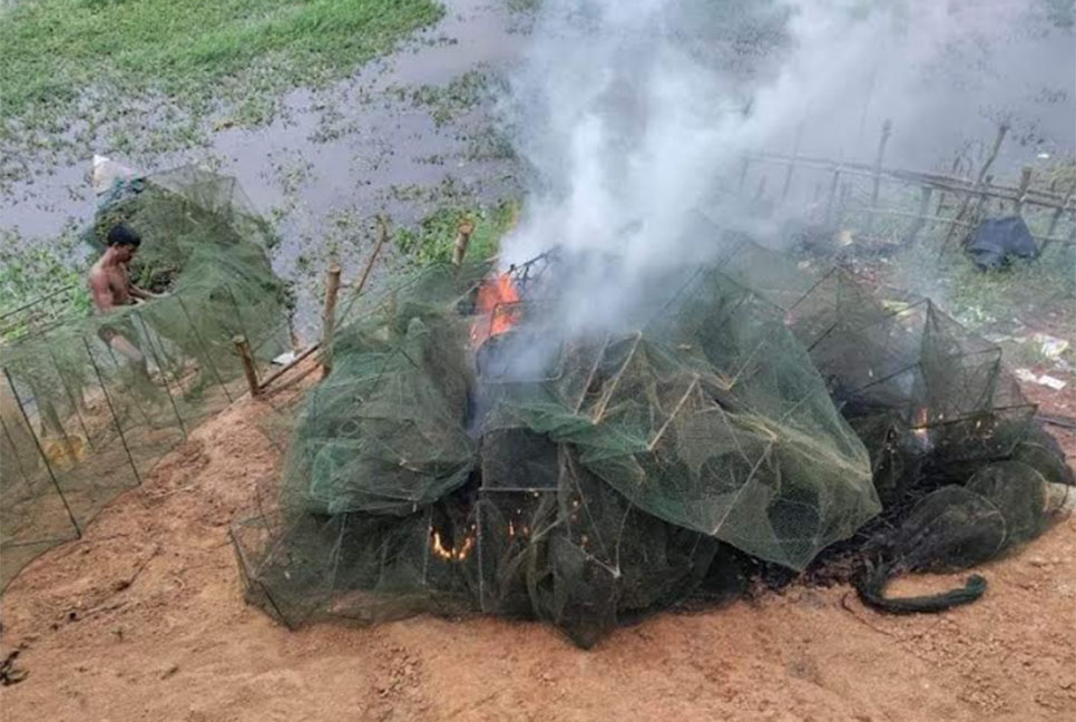 সখীপুরে চায়না জাল আগুনে পুড়িয়ে ধ্বংস