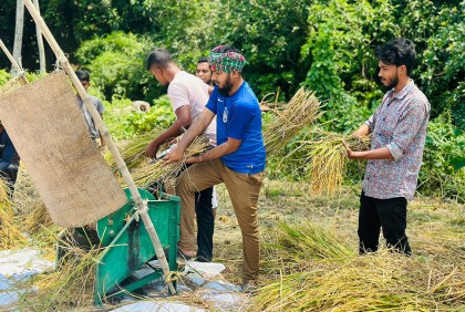 নোয়াখালীতে কৃষকের ধান কেটে ঘরে তুলে দিলেন ছাত্রলীগের কর্মীরা