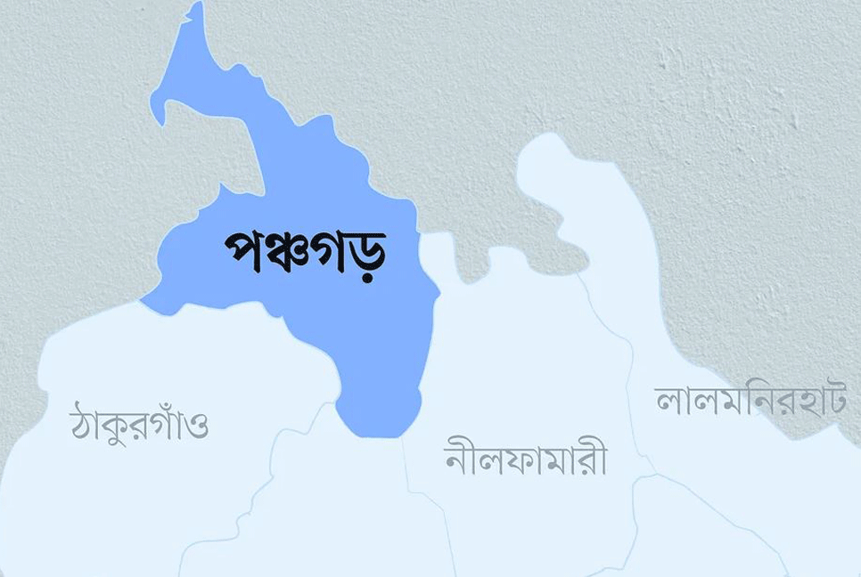 দুই ছেলের ঝগড়া থামাতে গিয়ে মায়ের মৃত্যু