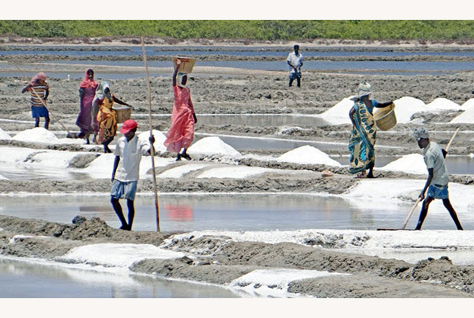 ৬২ বছরের মধ্যে দেশে রেকর্ড পরিমাণ লবণ উৎপাদন

