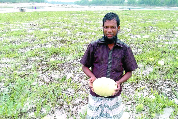 নদীর চরে মজনুর তরমুজবাড়ি