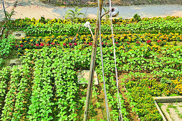 স্বাস্থ্য কমপ্লেক্সে ফুলবাগান