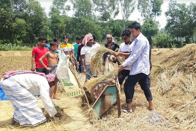 নোয়াখালীতে কৃষকের ধান কেটে ঘরে তুলে দিল ছাত্রলীগ