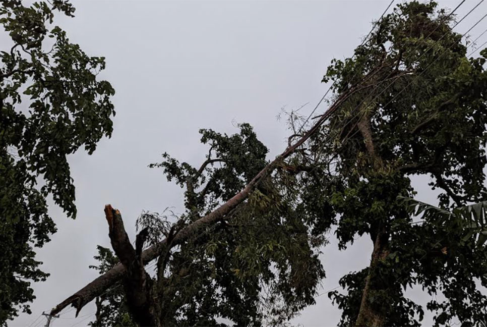 চরভদ্রাসনে কালবৈশাখী ঝড়ে তিনজন আহত  