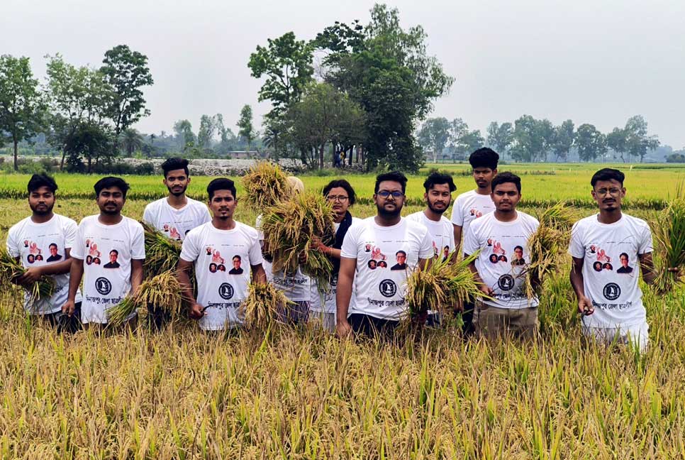 দিনাজপুরে কৃষকের ধান কেটে বাড়ি পৌঁছে দিল ছাত্রলীগ